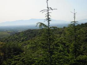 photo coins arrondis