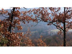 photo coins arrondis