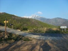 photo coins arrondis