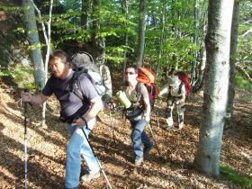 photo coins arrondis