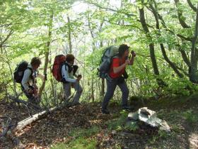 photo coins arrondis