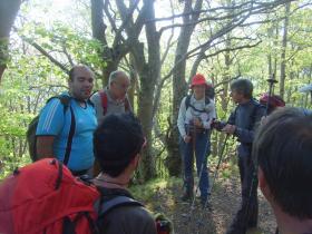 photo coins arrondis