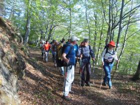 photo coins arrondis