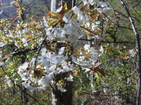 photo coins arrondis