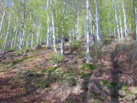 photo coins arrondis