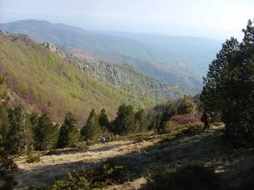 photo coins arrondis