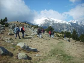 photo coins arrondis