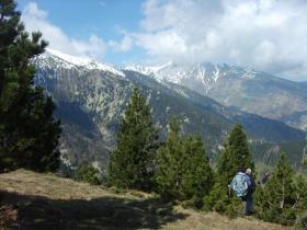 photo coins arrondis