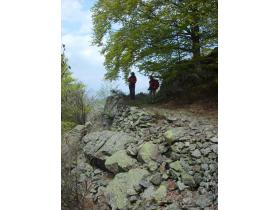 photo coins arrondis