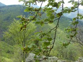 photo coins arrondis