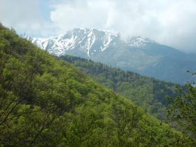 photo coins arrondis