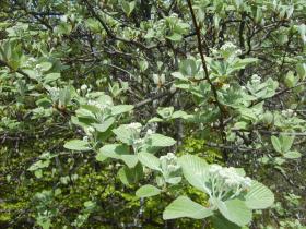 photo coins arrondis