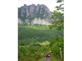 photo coins arrondis