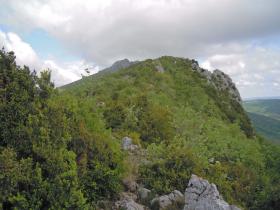 photo coins arrondis