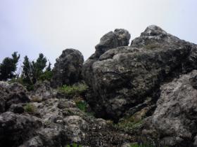 photo coins arrondis