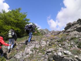 photo coins arrondis