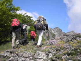 photo coins arrondis