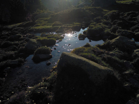 photo coins arrondis