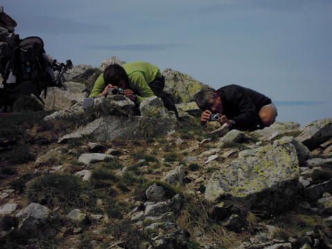 photo coins arrondis