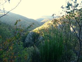 photo coins arrondis