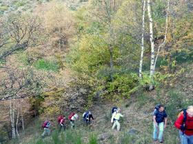 photo coins arrondis