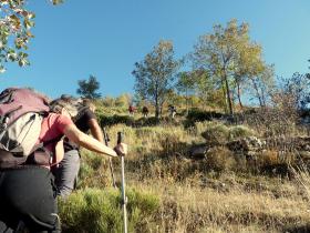 photo coins arrondis