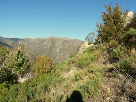 photo coins arrondis