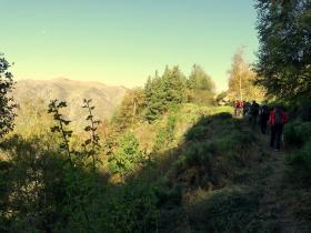 photo coins arrondis