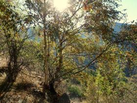 photo coins arrondis