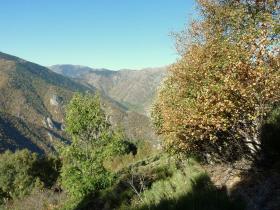 photo coins arrondis