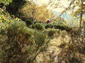 photo coins arrondis