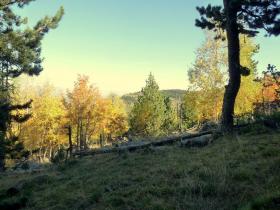 photo coins arrondis