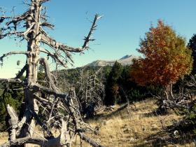 photo coins arrondis