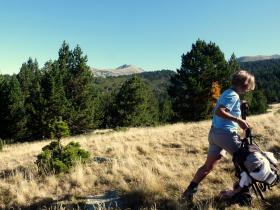 photo coins arrondis