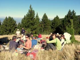 photo coins arrondis