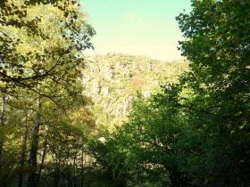 photo coins arrondis