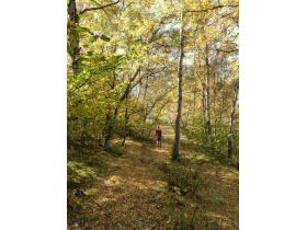 photo coins arrondis