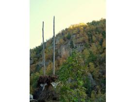 photo coins arrondis