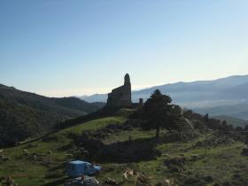 photo coins arrondis