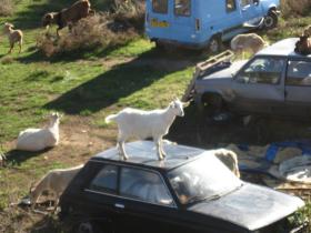 photo coins arrondis