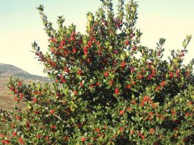 photo coins arrondis