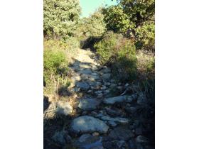 photo coins arrondis