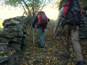 photo coins arrondis