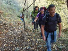 photo coins arrondis