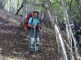 photo coins arrondis