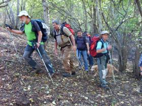 photo coins arrondis