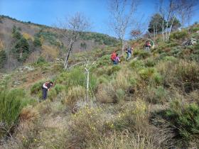 photo coins arrondis