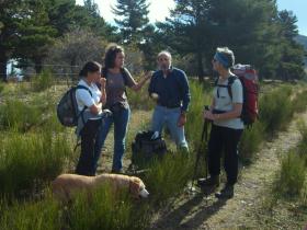 photo coins arrondis