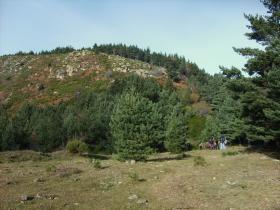 photo coins arrondis