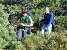 photo coins arrondis